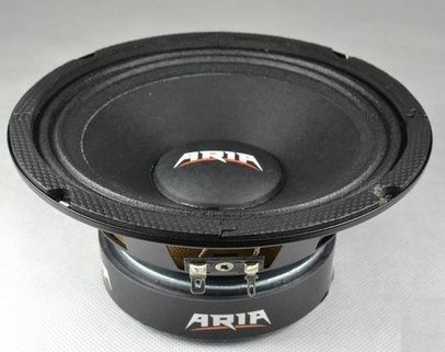 Акустическая система ARIA BZN-165S ARIA BZN-165S. Технические характеристики BZN-165S.