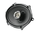 Focal Performance Auditor R-570C